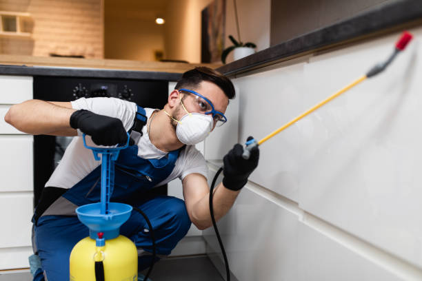 Best Pest Inspection Near Me  in Bellevue, ID