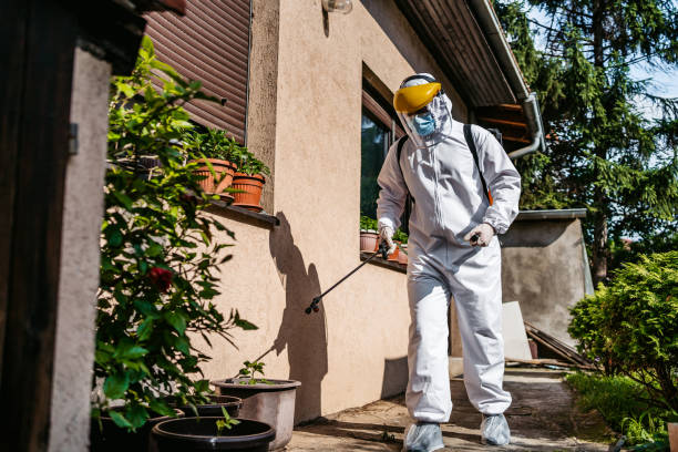 Bird Control in Bellevue, ID