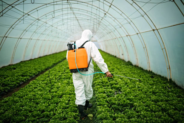 Best Pest Inspection Near Me  in Bellevue, ID