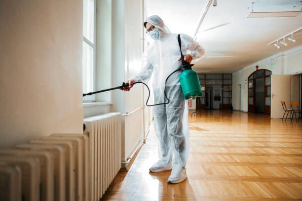 Best Local Pest Control Services  in Bellevue, ID